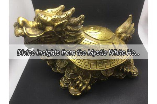 Divine Insights from the Mystic White Heron Unveiling the Secrets of Xingguo Fortune Telling